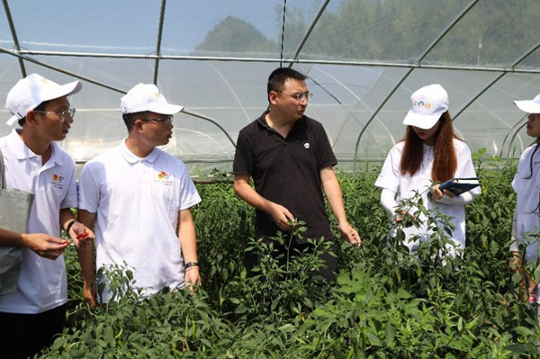 实践团参观蔬菜大棚。诸侯快讯ok1122官网供图